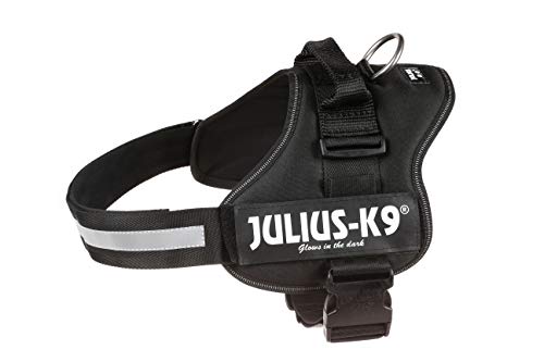 Julius-K9, Talla 1, 66-85 cm, Negro