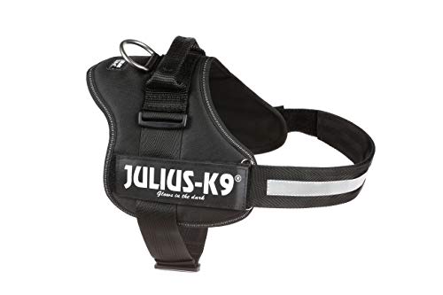 Julius-K9, Talla 1, 66-85 cm, Negro