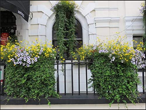 JUN-H 2pcs Plantas Colgantes Hiedra Verde Artificial,Utilizado Para Colgar Cestas y Paredes Colgantes, Decoración de Jardín en Casa(80 cm)