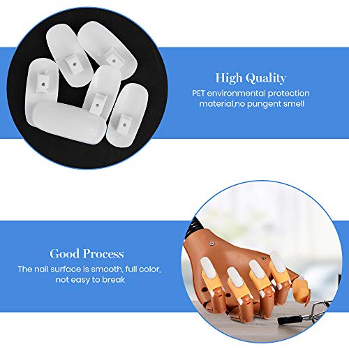 Kalolary 200pcs Práctica de la mano Puntas de uñas falsas, Uñas postizas ajustables entrenamiento práctico entrenamiento de uñas, Apto para principiantes en uñas(No incluye manos artificiales)