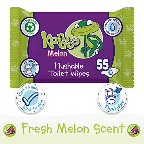KANDOO 4 Pack de 55 Lingettes Melon Nouvelle Formule