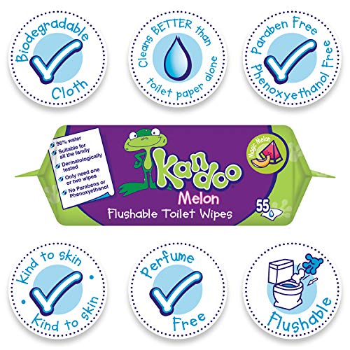 KANDOO 4 Pack de 55 Lingettes Melon Nouvelle Formule