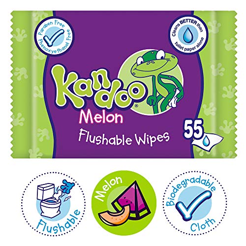 KANDOO 4 Pack de 55 Lingettes Melon Nouvelle Formule