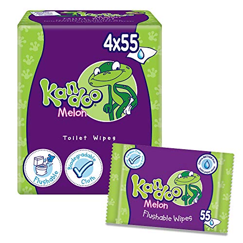 KANDOO 4 Pack de 55 Lingettes Melon Nouvelle Formule