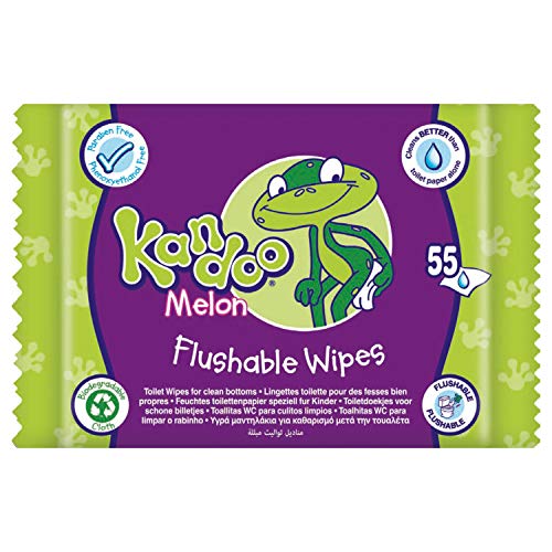 KANDOO Pack de 55 Lingettes Melon Nouvelle Formule