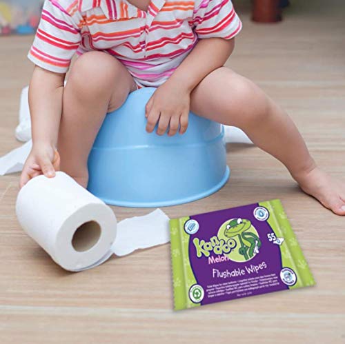 KANDOO Pack de 55 Lingettes Melon Nouvelle Formule