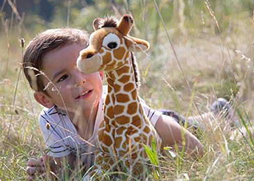 Keel Toys - Chimpancé de Peluche (64903)