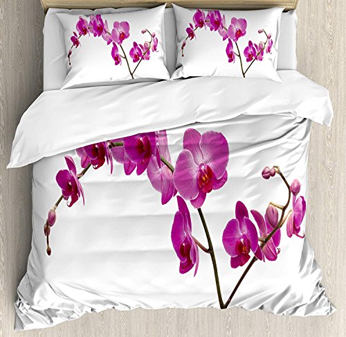 KIMDFACE Conjunto de Funda nórdica de decoración Magenta,Rama de pétalos de orquídeas Silvestres Rama Flor romántica Planta exótica Naturaleza Lámina,Juego de Cama Violeta