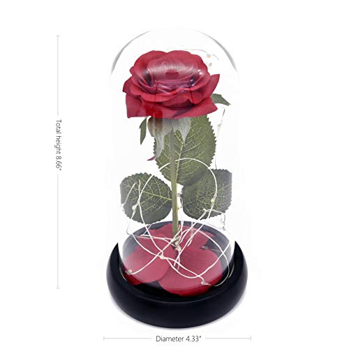 Kit de Rosas La Bella y la Bestia, Rosa de Seda roja y luz LED con pétalos caídos en la cúpula de Vidrio en la Base de Madera para la decoración del hogar Boda Cumpleaños Día de la Madre