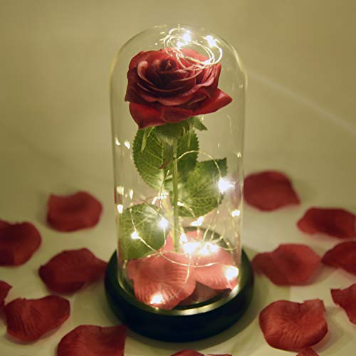 Kit de Rosas La Bella y la Bestia, Rosa de Seda roja y luz LED con pétalos caídos en la cúpula de Vidrio en la Base de Madera para la decoración del hogar Boda Cumpleaños Día de la Madre