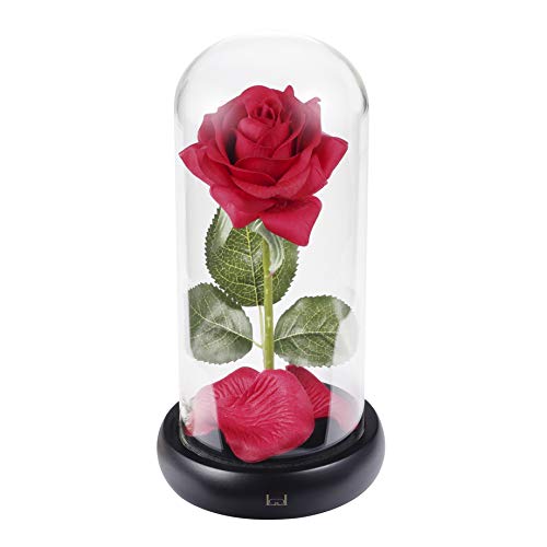 Kit de Rosas La Bella y la Bestia, Rosa de Seda roja y luz LED con pétalos caídos en la cúpula de Vidrio en la Base de Madera para la decoración del hogar Boda Cumpleaños Día de la Madre