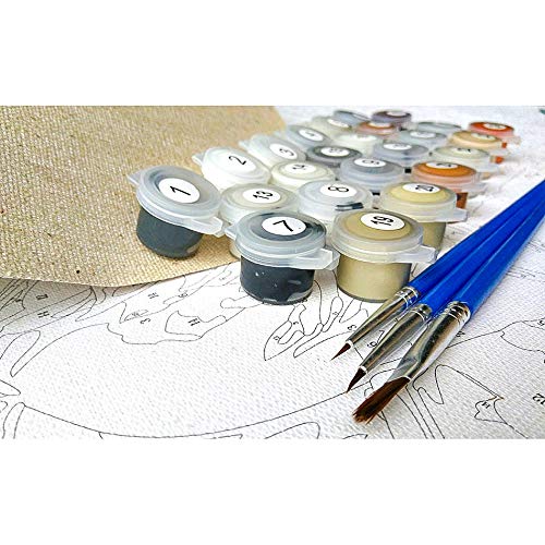 Kit para pintar por números, lienzo para pintar por números, para adultos, niños, decoración del hogar Copenhague -40x50cm