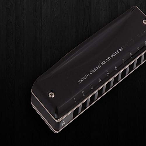 KMDSM Armónica, 10 hoyos C-tono Armónica, recomendado for principiantes, elegante Piano Paint, Piano All-metálico (negro, 10 * 2,7 * 2 cm) (Color : Black)
