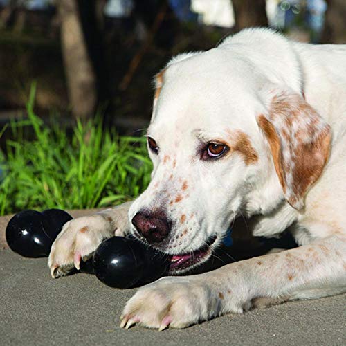 KONG - Extreme Goodie Bone - Hueso para Perro de Caucho, mandíbulas potentes, Negro - para Perros Grandes