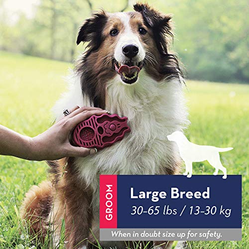 KONG - ZoomGroom - Cepillo para Perro, para peinar y enjabonar - para Perros de Raza Grande (Rojo)