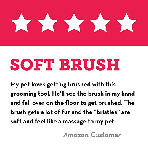 KONG - ZoomGroom - Cepillo para Perro, para peinar y enjabonar - para Perros de Raza Grande (Rojo)