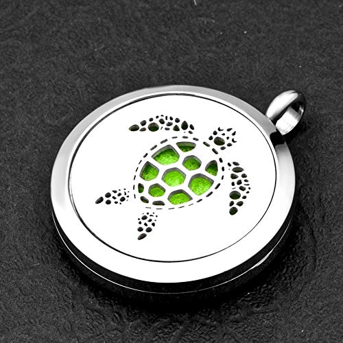 Korliya acero inoxidable