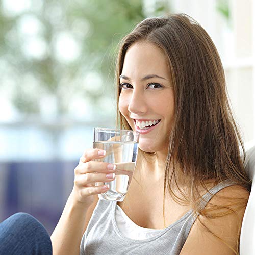 L-Tryptophan, 500 mg, 240 Tabletas Veganas