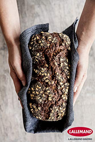 Lallemand Levadura seca – Paquete de 500 gramos de levadura instantánea – Levadura en polvo con calidad de panadería profesional
