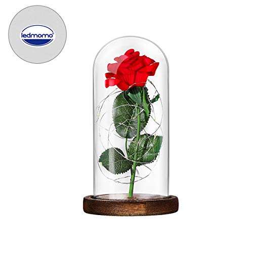 Lámpara de Mesa LED Rosa de Seda Roja y Luz con Pétalos Caídos en Cúpula de Cristal Sobre Base de Dia de la madre Madera Valentín