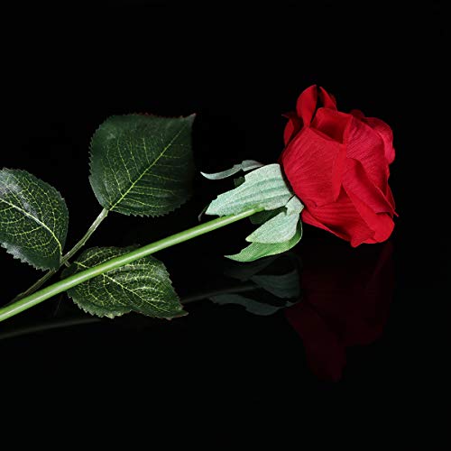 Lámpara de Mesa LED Rosa de Seda Roja y Luz con Pétalos Caídos en Cúpula de Cristal Sobre Base de Dia de la madre Madera Valentín