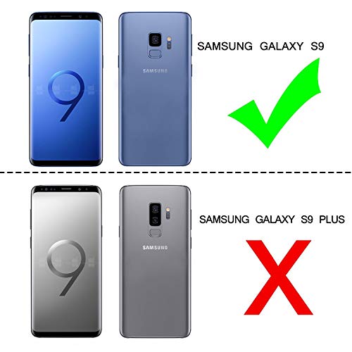 LeYi Funda Samsung Galaxy S8 con [2-Unidades] 3D Curvo Pet Pantalla,Cristal Transparente Shockproof Carcasa Ultra Silicona PC y TPU Slim Gel Bumper Antigolpes Cover Case para Movil S8, Clear