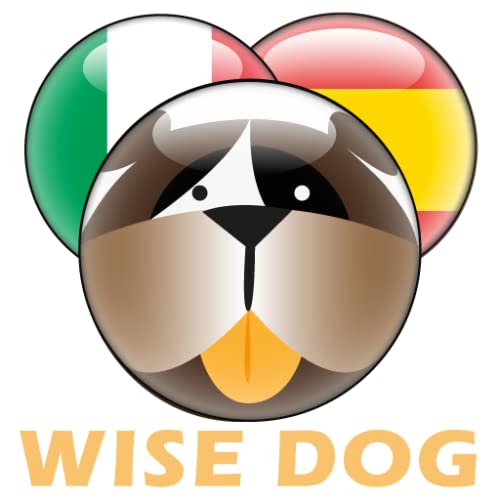 Libro de frases italiano