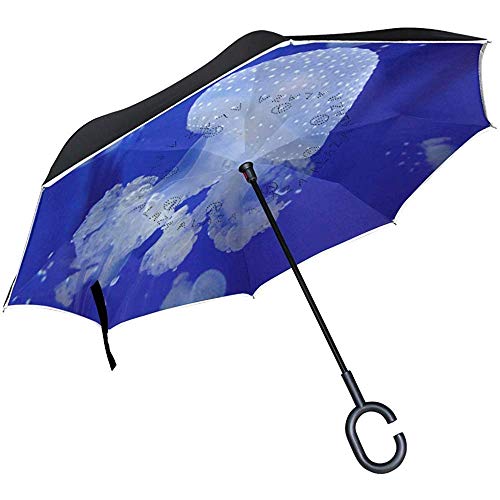 Little Yi Paraguas inverso Opiniones Medusa A Prueba de Viento Anti-UV