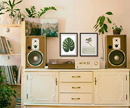 LIVACASA Hojas Artificiales Verdes Tropicales Hojas Palmera Artificial Grandes 36 Piezas Decoración de la Fiesta en Casa, para Bodas, Playa, Cumpleaños, Fiesta de Hawaii (Regalar Pegamento de Puntos)