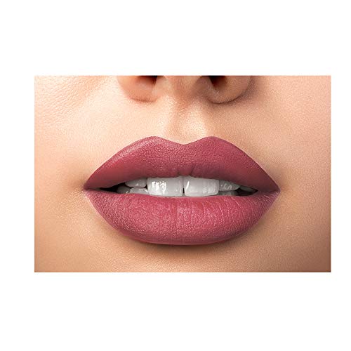 L'Oreal Paris Color Riche Moist Matte Lip Color, Spring Rosete PR511, 3.7gm