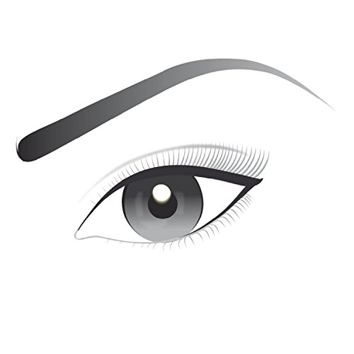 L'Oreal Paris Perfilador de Ojos Infalible Eye Liner 313