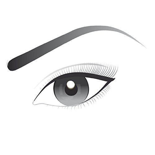 L'Oréal Paris Perfilador de Ojos Infalible Eye Liner 317