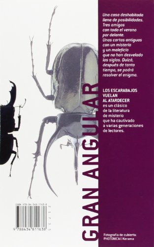 Los escarabajos vuelan al atardecer: 31 (Gran Angular)