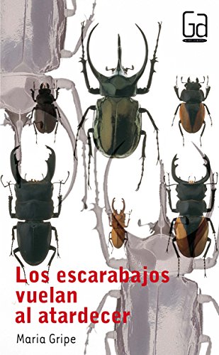 Los escarabajos vuelan al atardecer: 31 (Gran Angular)
