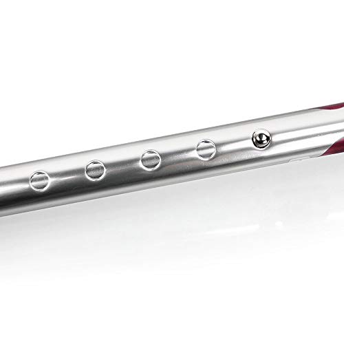 L.TSA Homecraft Barra bariátrica de Desplazamiento y bastón de Andar