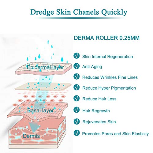 LUOLLOVE Dermaroller Facial 0.25mm 540 Rodillo Micro Agujas Titanio para Cuidado de la Piel Mesoterapia,Reducir la Hiperpigmentación,Reducir Ojo Líneas Finas, Crecimiento del Cabello