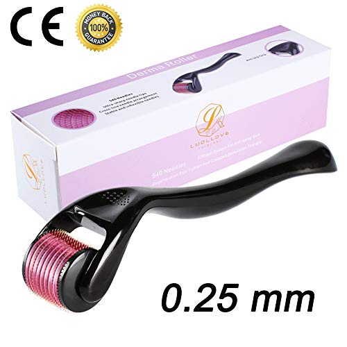 LUOLLOVE Dermaroller Facial 0.25mm 540 Rodillo Micro Agujas Titanio para Cuidado de la Piel Mesoterapia,Reducir la Hiperpigmentación,Reducir Ojo Líneas Finas, Crecimiento del Cabello