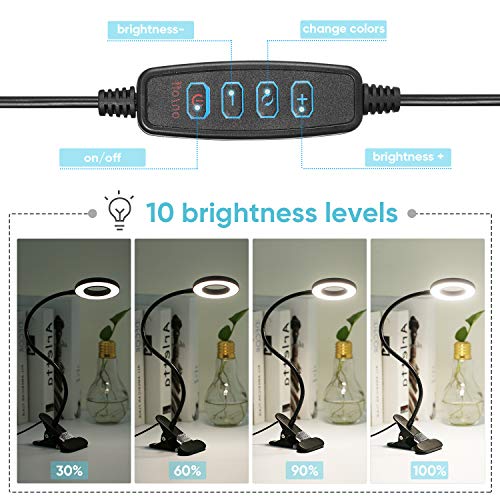 Luz Lectura, Infankey 24LED Flexo Led Escritorio con 3 Colores & 10 Niveles de Brillo, 360 Flexible, Protección para Los ojos, USB Lámpara Pinza para Cama, Lectores Noche, E-Reader