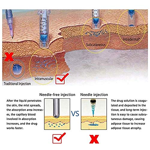 LZDYC Pluma de inyección de ácido hialurónico, nebulizador sin Aguja, no invasivo, indoloro, antienvejecimiento, Equipo Antiarrugas, suplemento Profundo Rico en nutrientes