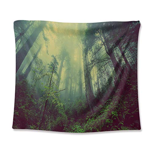 LZYMLG - Tapiz de pared para colgar en la pared, diseño hippie de paisaje natural de la selva del sol GT111018, 100 x 150 cm (lijado)