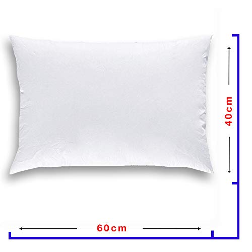 Mack - Cojín de Plumas 40x60cm 2 Piezas