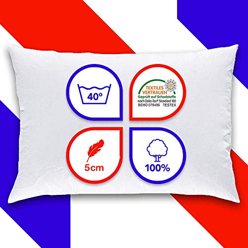 Mack - Cojín de Plumas 40x60cm 2 Piezas