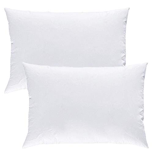 Mack - Cojín de Plumas 40x60cm 2 Piezas