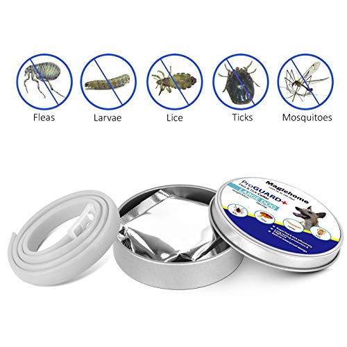 Magichome Collar Antiparasitario para Perros contra Pulgas, Garrapatas y Mosquitos, Gris