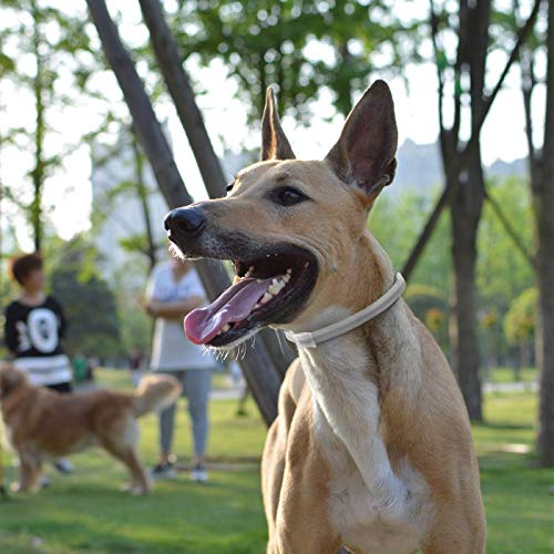 Magichome Collar Antiparasitario para Perros contra Pulgas, Garrapatas y Mosquitos, Gris