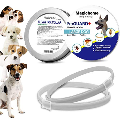 Magichome Collar Antiparasitario para Perros contra Pulgas, Garrapatas y Mosquitos, Gris