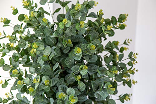 Maia Shop 1245 Eucalyptus Troncos Naturales, Elaborados con los Mejores Materiales, Ideal para Decoración de hogar, Árbol, Planta Artificial (105 cm), Mixto, Eucalipto