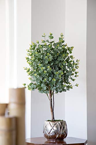 Maia Shop 1245 Eucalyptus Troncos Naturales, Elaborados con los Mejores Materiales, Ideal para Decoración de hogar, Árbol, Planta Artificial (105 cm), Mixto, Eucalipto
