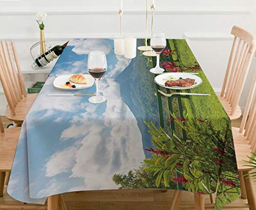 Mantel Antimanchas Rectangular Impermeable,Volcán, Vista del Volcán Arenal desde el punto de observación Vista panor,Manteles Mesa Decorativo para Hogar Comedor del Cocina,（140 x 200 cm/55*78 pulgada）