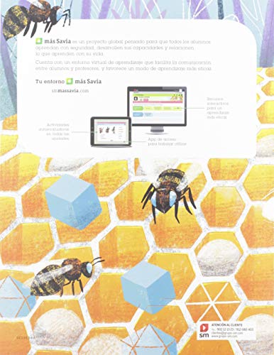 Matemáticas. 6 Primaria. Más Savia